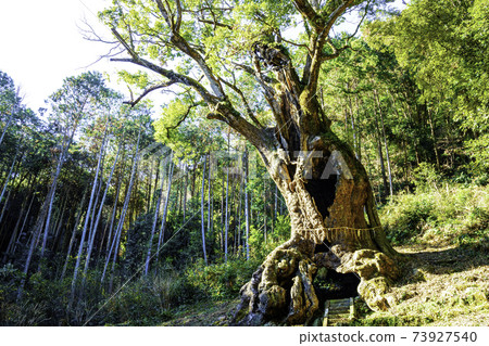 Takeo's Okusu at Takeo Shrine, a power spot in Saga Prefecture (6th in Japan and 2nd in Saga Prefecture) 73927540
