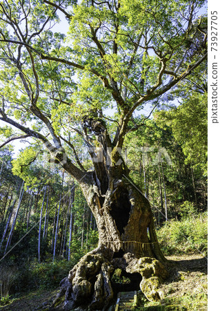 Takeo's Okusu at Takeo Shrine, a power spot in Saga Prefecture (6th in Japan and 2nd in Saga Prefecture) 73927705