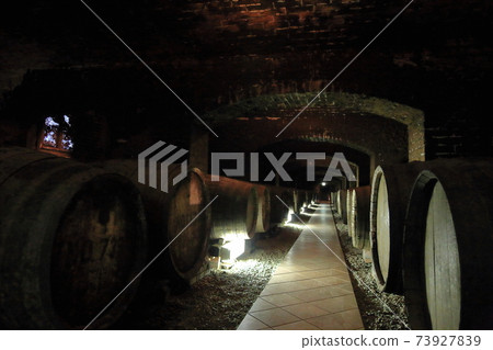 Chateau Kamiya Ushiku城堡 73927839