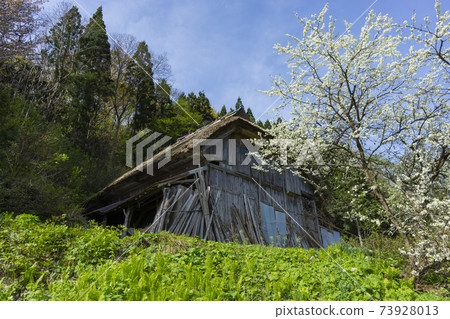 有彈性的satoyama風景 有彈性的satoyama風景 73928013