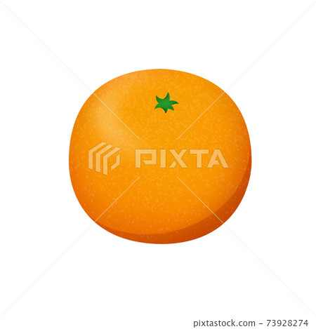 Mandarin orange  73928274
