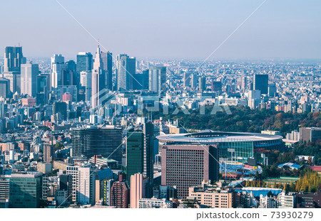 Tokyo cityscape in Japan I want to see the new National Stadium etc. 73930279