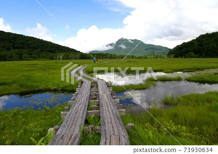 Summer Oze hiking 73930634