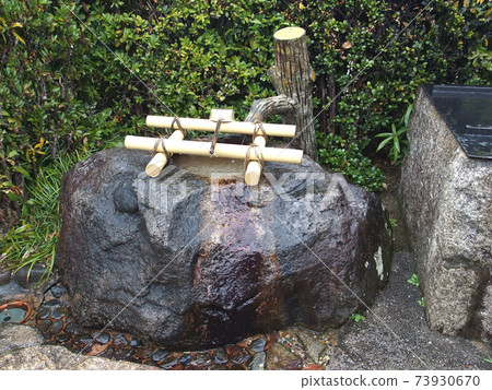 長谷屋神社水竹C 長谷屋神社水竹C 73930670