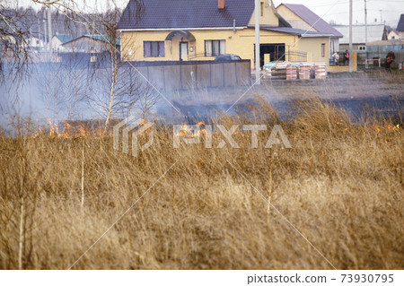 Burning dry grass in field poses serious danger, fire spreads quickly with strong winds 73930795