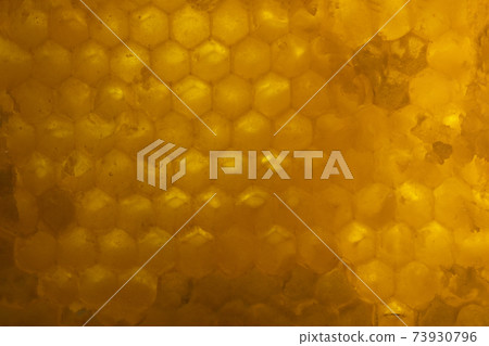 pattern of part of wax honeycomb filled with golden honey pattern of part of wax honeycomb filled with golden honey 73930796