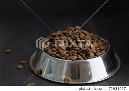 dogs dry food in stainless steel bowl dogs dry food in stainless steel bowl 73931037