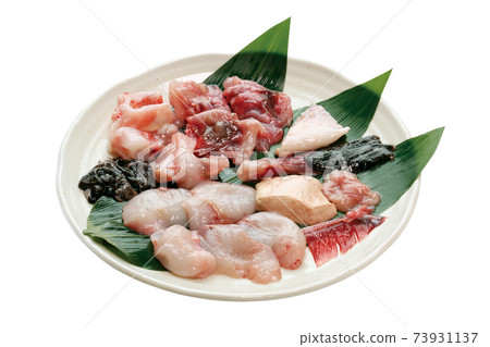 Anglerfish 01 (with pass) Anglerfish 01 (with pass) 73931137