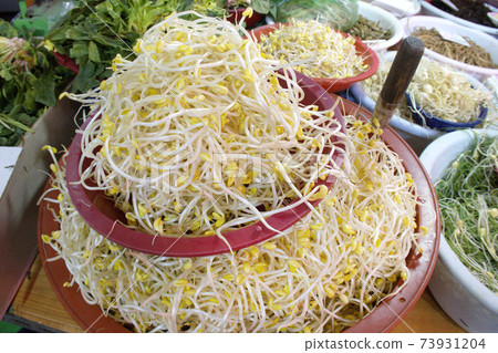 Bean sprouts in traditional markets, Bean sprouts in traditional markets, 73931204
