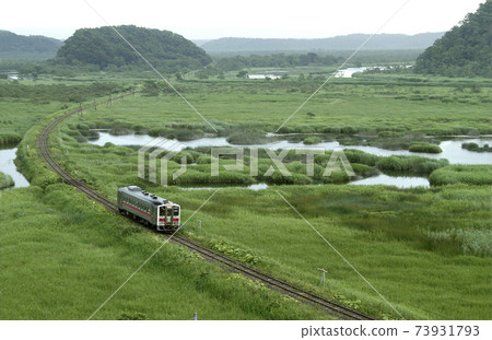 Hanasaki Line running through the marsh Hanasaki Line Kiha 54 Hanasaki Line running through the marsh Hanasaki Line Kiha 54 73931793