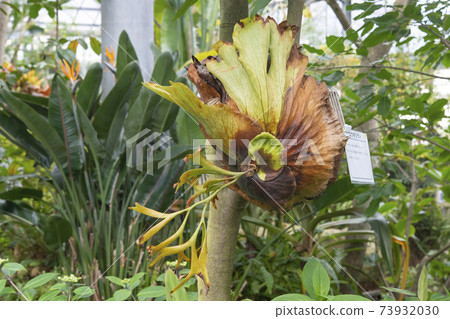 蝙蝠運行 73932030