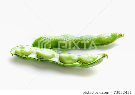 Broad beans with peeled pods Broad beans with peeled pods 73932431