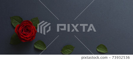 紅玫瑰和深藍色背景材料。慶祝活動，活動，婚禮，聖誕節，情人節，母親節等等。 73932536
