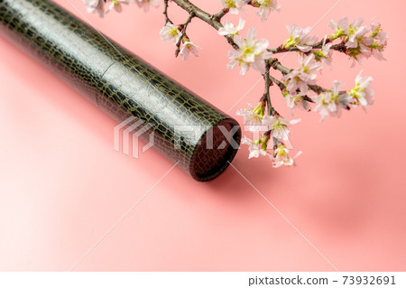 Round tube and cherry blossoms 73932691