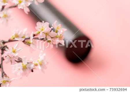 圓管和櫻花 圓管和櫻花 73932694