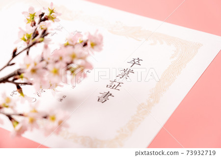 Diploma and cherry blossoms 73932719