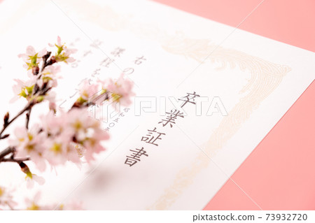 Diploma and cherry blossoms Diploma and cherry blossoms 73932720