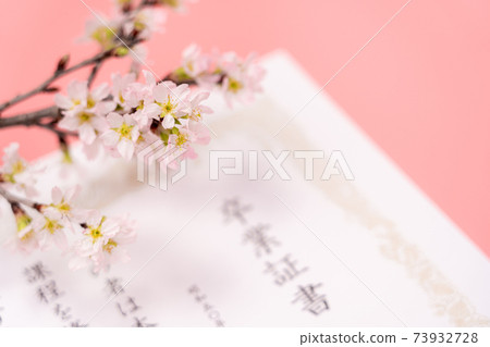 文憑和櫻花 文憑和櫻花 73932728