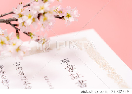 文憑和櫻花 文憑和櫻花 73932729