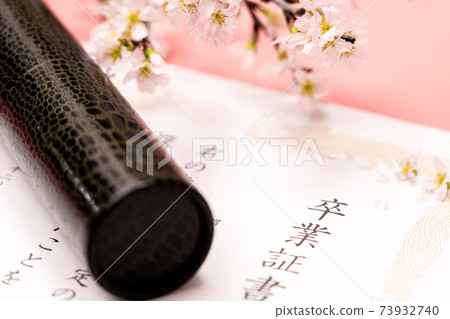 Diploma, round tube and cherry blossoms 73932740