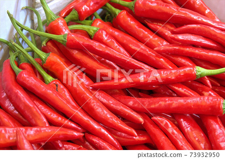Red chili, Red chili, 73932950