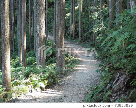 熊野古道 熊野古道 73933059