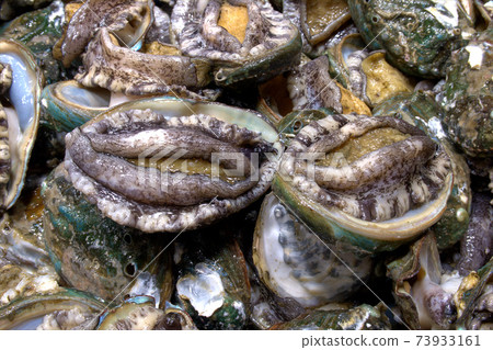 Subversion of the fish market, Subversion of the fish market, 73933161