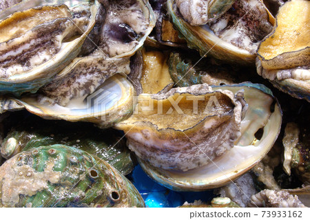 Subversion of the fish market, 73933162
