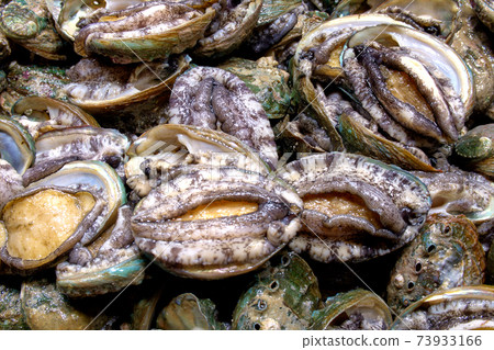 Subversion of the fish market, 73933166