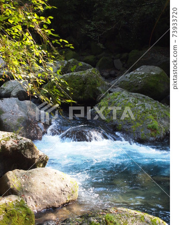 夏末菊池峽 73933720