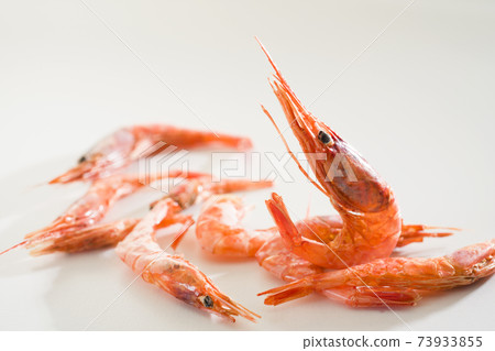 Dried pink shrimp Dried pink shrimp 73933855