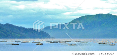 Yamada Bay, Iwate Prefecture 73933992