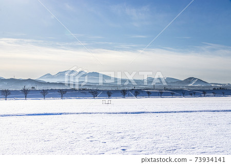 Hakkoda and Moya ski resorts in winter seen from the snowfields of Aomori City Hakkoda and Moya ski resorts in winter seen from the snowfields of Aomori City 73934141