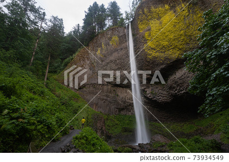 Latourell Falls Portland Oregon Latourell Falls Portland Oregon 73934549