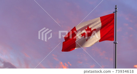 3d rendering of the national flag of the Canada 3d rendering of the national flag of the Canada 73934618