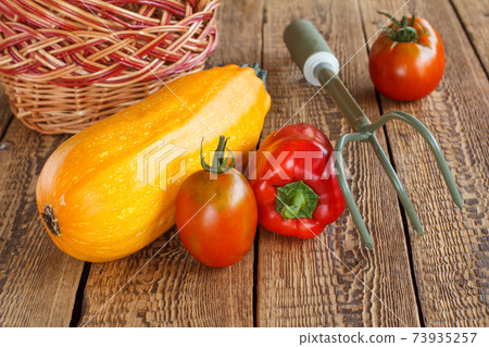 Vegetables with a wicker basket and a rake on wooden background. Vegetables with a wicker basket and a rake on wooden background. 73935257