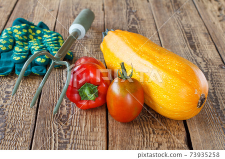Vegetables with gloves and a rake on wooden background. Vegetables with gloves and a rake on wooden background. 73935258
