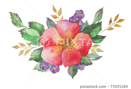 Watercolor floral composition. Spring blooming flowers bouquet nature garden. Vintage hand drawn brush plants isolated on white illustration 73935260