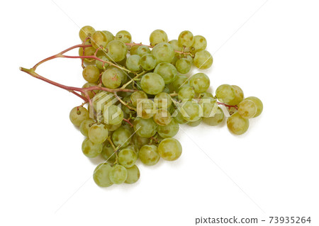 Green bunch of grapes on white background. Green bunch of grapes on white background. 73935264