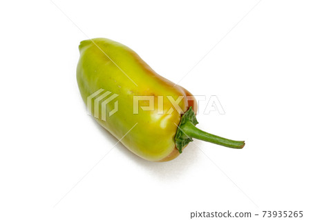 Green bell or sweet pepper on white background. Green bell or sweet pepper on white background. 73935265