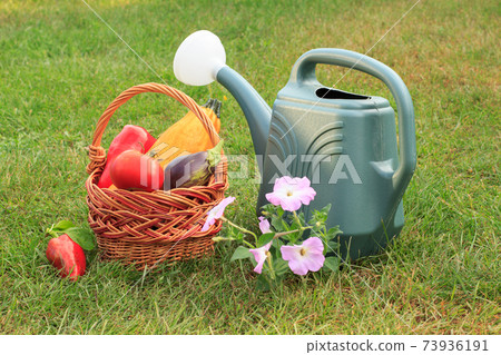 Vegetables in a wicker basket and watering can in natural green background Vegetables in a wicker basket and watering can in natural green background 73936191