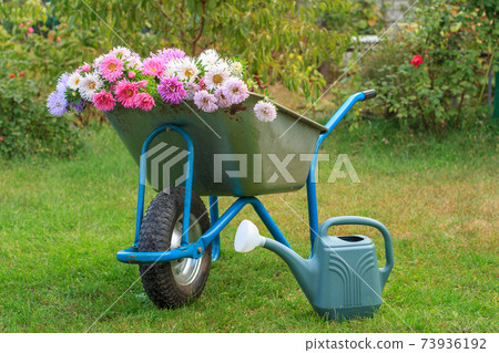 Summer garden with wheelbarrow and watering can. Summer garden with wheelbarrow and watering can. 73936192