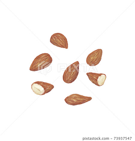杏仁：手繪插圖 73937547