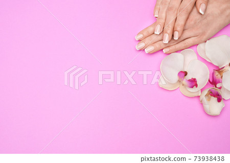 Beautiful Female Hands with French manicure over pink background 73938438
