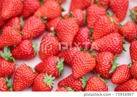Freshly picked strawberries spread out (January, Beni Hoppe) 73938967