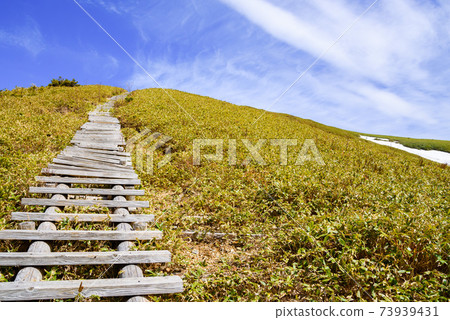 Spring sky, fresh green and Tairapyoyama mountain trail Spring sky, fresh green and Tairapyoyama mountain trail 73939431