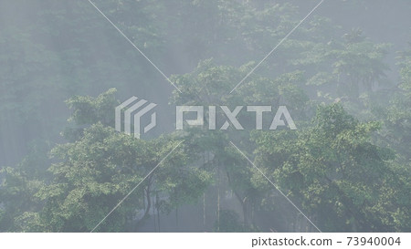 Fog covered jungle rainforest landscape Fog covered jungle rainforest landscape 73940004
