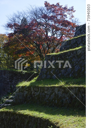 岐阜縣惠那市的岩村城跡 岐阜縣惠那市的岩村城跡 73940803