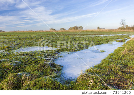 Frozen puddle on a green field with winter grain, clouds on the sky 73941200