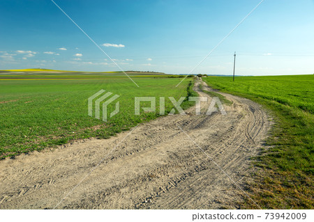 Sandy road through green fields and blue sky Sandy road through green fields and blue sky 73942009